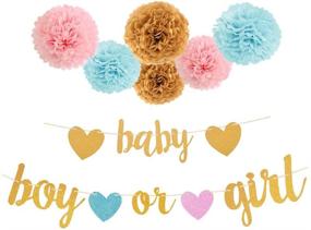 img 4 attached to 👶 Aonor Gender Reveal Party Decorations: Glitter Letters BABY and BOY OR GIRL with Hearts Banner, Tissue Paper Pom Poms Set for Stunning Baby Shower Decorations