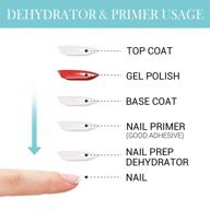 💅 elite99 nail prep bond primer: enhance your diy uv led gel polish and acrylic powder nail art manicures logo