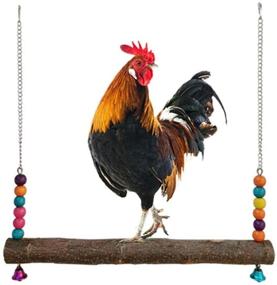 img 4 attached to 🐓 Minelife Chicken Swing Toy, Natural Wooden Perch and Stand for Hens, Handmade Large Bird Parrot Macaw Training and Entertainment