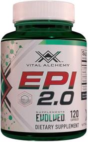 img 2 attached to 🏋️ Epi 2.0 - Advanced Muscle Mass Gainer and Strength Enhancer by Vital Alchemy, Epicatechin-Quercetin Blend with Piperine for Optimal Mass Gaining and Joint Support