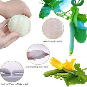 img 1 attached to 10-Pack Natural Loofah Sponge Exfoliating Facial Pads - Large Cleanser for Men & Women Bath Spa Cleansing - 100% Natural Loofa Face Scrubber, 3.15 Inches Dia