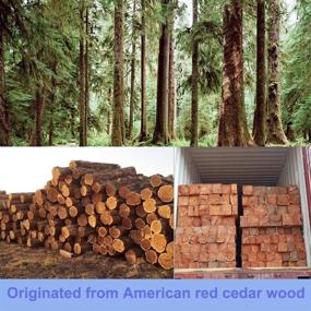 img 3 attached to 🌲 RoyalPolar Cedar Blocks: Aromatic Red Cedar Wood Protection for Clothes Storage in Closets & Drawers