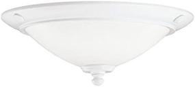 img 3 attached to Kichler 380107WH Universal Ceiling Powder