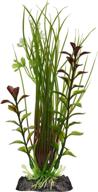 penn plax medium ludwigia hairgrass logo