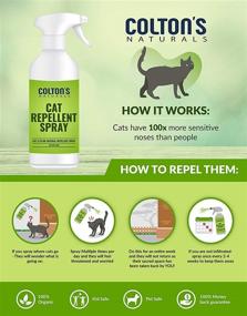 img 3 attached to 🐱 Organic & Natural Cat Repellent Spray for Indoor & Outdoor Use - 32 OZ