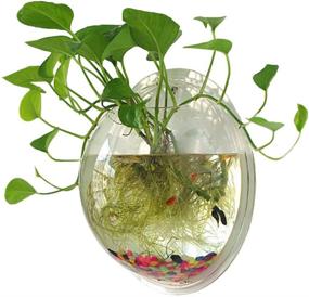 img 4 attached to 🐠 Large Clear Sweetsea Hanging Wall Mounted 1 Gallon Fish Tank Bowl Aquarium: Decorative Wall Décor with Plant and Fish Bubble