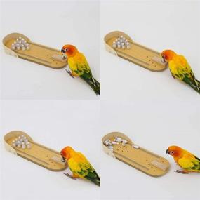 img 2 attached to 🐦 PINVNBY Parrot Bird Wooden Mini Desktop Bowling Toy for Intelligent Training & Enrichment Game - Perfect for Parakeets, Finches, Budgies, Cockatiels, Conures, Love Birds, and Amazon Parrots