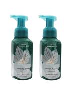 🌬️ bath & body works crisp morning air: 2 pack of gentle foaming hand soap logo