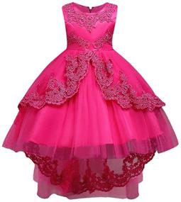 img 3 attached to 👗 HUAANIUE Girls Pageant Wedding Flower Girls Dress Collection: Beautiful Clothing for Special Occasions