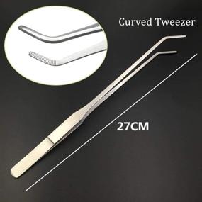 img 3 attached to ESKONI 2-Piece Aquarium Tweezers Set - Stainless Steel Straight and Curved Tweezers for Fish Tank Aquatic Plants, 27cm/10.6 inches Feeding Tongs for Worms, Reptiles, Lizards, Bearded Dragon