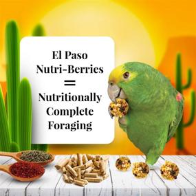 img 3 attached to 🐦 Nutri-Berries 3 lb by Parrot El Paso