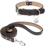 bingpet leather dog collar leash logo