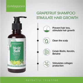 img 2 attached to MILAGANICS Grapefruit Herbal Essences Shampoo and Conditioner Set - Natural Ingredients, 🍇 Prevent Hair Loss, Promote Hair Growth, Suitable for All Hair Types, 250ml each (SetGrapefruitshampooconditioner)