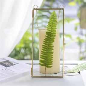 img 3 attached to 📸 Modern Copper Geometric Glass Frame: 4x9 Inches Wall Hanging Display for Photos, Certificates & Plant Specimens - Stylish Home Décor & Unique Gift Idea