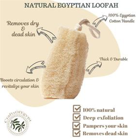 img 3 attached to Egyptian Natural Scrubber Premium Exfoliating