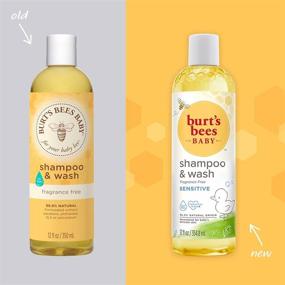 img 3 attached to Burt's Bees Baby Shampoo & Wash - Fragrance 🍯 Free, Tear Free Baby Soap 12oz Bottle - Pack of 3