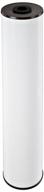 💧 pentair pentek rffe20-bb big blue water filter: premium replacement cartridge for iron reduction in a 20-inch whole house system - white logo