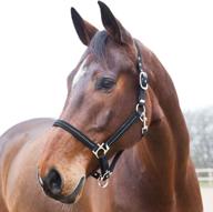 horze nylon halter diamonds warmblood logo