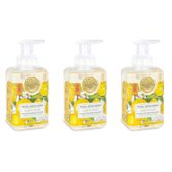 🍋 michel design works foaming hand soap 3-pack, lemon basil scent - 17.80oz logo