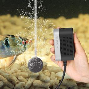 img 1 attached to Lefunpets 64 GPH Fish Tank Air Pump with Strong Air Flow - 4000 ml/Min, 0.015MPa Mini Oxygen Aerator for up to 80 Gallon Tank - Equipped with Air Stone, Silicone Tube, and Check Valves