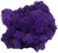 🌿 reindeer moss preserved: 2 oz of purple colored moss for fairy gardens, terrariums, and crafts, with free nautical ebook by joseph rains logo