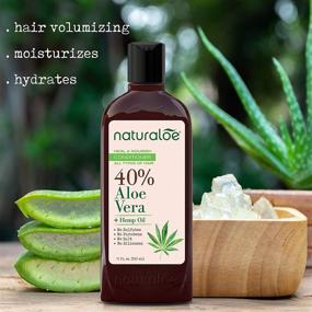 img 1 attached to 🌿 Naturaloe Aloe Vera and Hemp Oil Shampoo and Conditioner Set: For Strong & Shiny Hair, Vegan Anti-Frizz Haircare - 2 Bottles, 12 Fl Oz Each