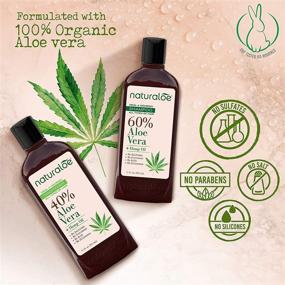 img 3 attached to 🌿 Naturaloe Aloe Vera and Hemp Oil Shampoo and Conditioner Set: For Strong & Shiny Hair, Vegan Anti-Frizz Haircare - 2 Bottles, 12 Fl Oz Each