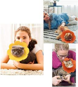 img 1 attached to 🐱 Soft Cone Cat Recovery Collar for Head Wound Healing - Protective Elizabethan Cone After Surgery for Pets, Kittens, and Small Dogs