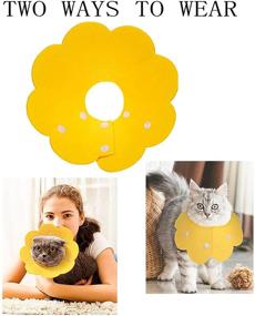 img 3 attached to 🐱 Soft Cone Cat Recovery Collar for Head Wound Healing - Protective Elizabethan Cone After Surgery for Pets, Kittens, and Small Dogs