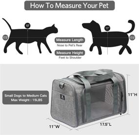 img 3 attached to Переноска для собак и кошек X-ZONE PET: одобрена авиакомпаниями, мягкая складная переноска для средних кошек, щенков и маленьких собак - идеально подходит для путешествий