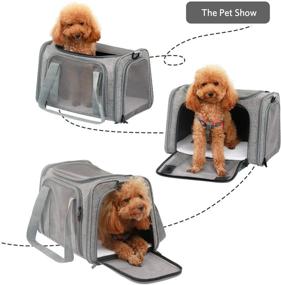 img 1 attached to Переноска для собак и кошек X-ZONE PET: одобрена авиакомпаниями, мягкая складная переноска для средних кошек, щенков и маленьких собак - идеально подходит для путешествий