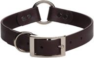 durable brown hunt dog 🐶 collar - mendota pet 1 x 20-inch logo