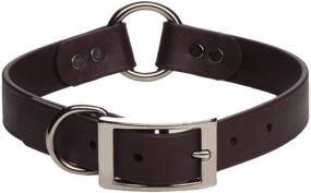 img 1 attached to Durable Brown Hunt Dog 🐶 Collar - Mendota Pet 1 x 20-Inch