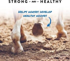 img 2 attached to Manna Pro Sho-Hoof Supplement: 5-Pound Biotin and Zinc Methionine for Optimal Horse Hoof Health