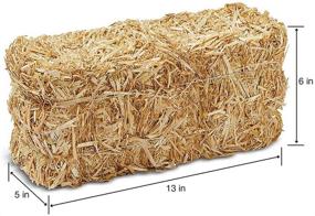 img 3 attached to 🌾 Natural FloraCraft Decorative Straw Bale for Crafts and Displays - 5" x 6" x 13" Size