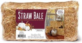 img 4 attached to 🌾 Natural FloraCraft Decorative Straw Bale for Crafts and Displays - 5" x 6" x 13" Size