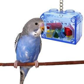 img 3 attached to Large or Small Treasure Chest for Birds - Sweet Feet and Beak - Colorful, Safe, Easy to Install - Washable, Refillable, Non-Toxic Foraging Box - Cage Accessories