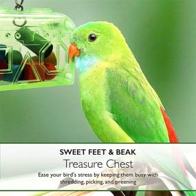 img 2 attached to Large or Small Treasure Chest for Birds - Sweet Feet and Beak - Colorful, Safe, Easy to Install - Washable, Refillable, Non-Toxic Foraging Box - Cage Accessories