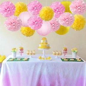 img 3 attached to 🌞 HappyField Sunshine First Birthday Decorations and Party Supplies: You Are My Sunshine Themed Baby Shower, Wedding, and Bridal Shower Décor with Yellow and Pink Tissue Pom Poms, Paper Lanterns