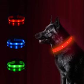 img 4 attached to MASBRILL Rechargeable LED Dog Collar - Waterproof & Flashing Safety Collar for Small/Medium/Large Dogs - Ideal Gift