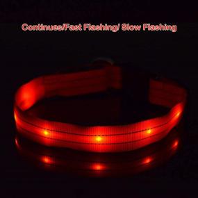 img 1 attached to MASBRILL Rechargeable LED Dog Collar - Waterproof & Flashing Safety Collar for Small/Medium/Large Dogs - Ideal Gift