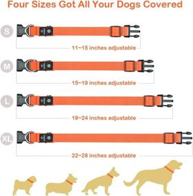img 3 attached to MASBRILL Rechargeable LED Dog Collar - Waterproof & Flashing Safety Collar for Small/Medium/Large Dogs - Ideal Gift