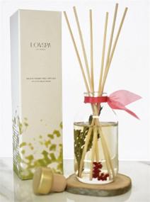 img 1 attached to 🎄 LOVSPA Winterberry Spruce Reed Diffuser Set with Wood Coaster - Cedar, Balsam, Berries, and Spice Scented Oils - Rustic Winter Home Decor, Made in The USA