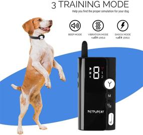 img 2 attached to 🐶 Waterproof Dog Training Collar with Remote – Rechargeable Shock Collar with 3 Training Modes (Beep, Vibration, Shock), Rainproof Training Set, Long Range Remote, Adjustable Shock Levels