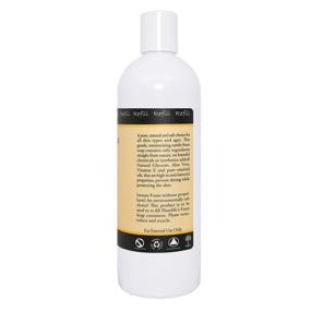 img 2 attached to 🍊 16oz Refill of Plantlife Vanilla Orange Hand & Body Foam Soap