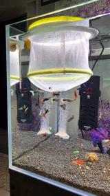 img 1 attached to Enhance Aquarium Fish Breeding with 2 Units Hatchery Isolation Nets: Large & Small Aperture Nets