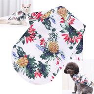 hawaiian pineapple clothes costume clothing logo