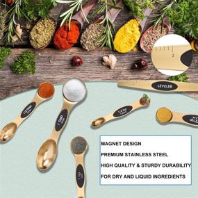 img 1 attached to 🥄 Magnetic Measuring Spoons Set of 6: Stainless Gold Kitchen Gadgets for Dry Spice & Liquid Ingredients - Fits in Spice Jar, Ideal for Cooking & Baking