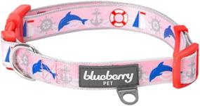img 4 attached to 🐶 Blueberry Pet Bon Voyage Dog Collars | 10+ Patterns | Personalized Option | Toys Included