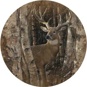 img 1 attached to Thirstystone Stoneware Coaster Birchwood Buck